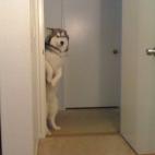 "Oye... ¿tienes un minuto?"