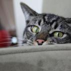 "¿En serio? Otro capítulo de esa telenovela?"