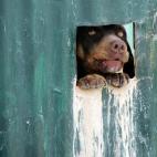 Un conveniente agujero para espiar a la gente.