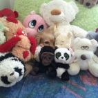 Jugando a las escondidillas.