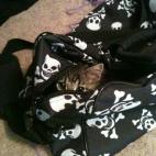 "No. No vas al gym. No te dejo".