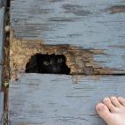 "Fíjate por dónde caminas, amigo".