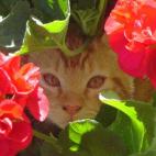 "Ni se te ocurra cortarlas. Son mías".