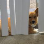 "Hola qué tal, bonito día".