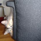 "Otra vez con tu dichosa televisión, ¿eh?"