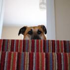 "Tenemos que hablar de esta alfombra..."