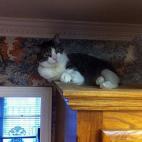 "Desde aquí veo qué te estás poniendooo".