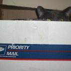 "Aquí no tienes comida. Bah".