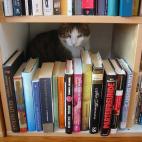 "Qué malos libros tienes, en serio..."