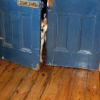 "Perdón, ¿te estoy interrumpiendo?"