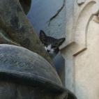 "Tomando un tour, ya veo..."