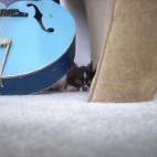 "¿Quién te dijo que sabías tocar esto? Qué horror".