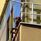 "Me estás dejando solito otra vez, ¿verdad?"