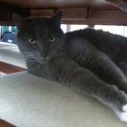 "¿QUÉ? ¿No me vas a invitar a comer?"