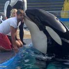 Shakira, ahí donde la ves, besa a un tío que besa a orcas. Dice el futbolista que no fue idea suya, que empezó el animalito. Estas fotos que Piqué a subido a sus redes sociales sirven para ver que la pareja está feliz: durante la Eurocopa s...