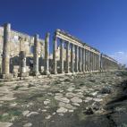 Apamea