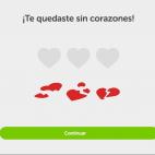 5c8b949b3b000054066dc764