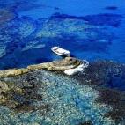 Andalucía es sinónimo de espectaculares playas, tanto atlánticas como mediterráneas, y, aunque quizás sea un poco pronto como para darse un baño en condiciones, quizás sí puedas disfrutar de un rápido chapuzón. Échale un vistazo a las...