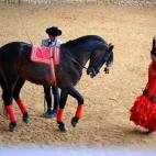 Si quieres que el arte andaluz corra por tus venas, no tienes más remedio que ir a las Caballerizas Reales de Córdoba. De prestigio y fama internacional, podrás disfrutar de un asombroso diálogo entre caballos Pura Raza Española y seres hum...