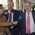 Ocupó la Consejería de Empleo entre 2004 y 2010 y desde el año 2000 ocupó la vicepresidencia del Instituto de Fomento de Andalucía (IFA), encargado de otorgar las ayudas. Se le han imputado los delitos de negociación prohibida a funcionari...