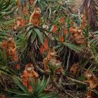 5c8b133d3b000054066ce925