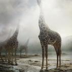 5c8b133d3b000002076ce927