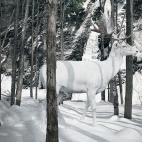 5c8b133d2500001304c9fbb6