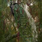 5c8b133d22000033001a37ee