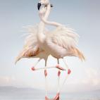 5c8b133e2000009d03701527