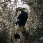 5c8b133e2400006c05a40722