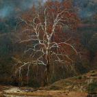 5c8b133e3b000070066ce92f