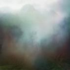 5c8b133f360000a61b6c676e