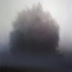 5c8b133f3b000054066ce931