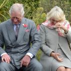 6329cf052500005a00f35e37