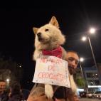 5ddc13ac2500004f19d2e27f