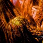 5c8b14502300005300e78578