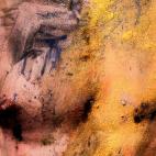 5c8b14512300005400e7857a