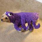 Eso es el resultado de sumar un pulpo y un caniche.