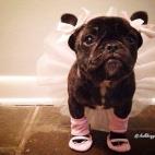 Con esos zapatitos...