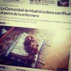 Alaska: "Sacrificar a un perro como medida preventiva en vez de una cuarentena. Todo muy mal hecho desde el primer momento. Han convertido España en un país tercermundista. Este perro se llama Excalibur y ni siquiera saben si está enfermo, ¡...