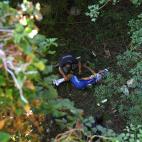 Escalofriante ca&iacute;da del ciclista Remco Evenepoel en el Giro de Lombard&iacute;a