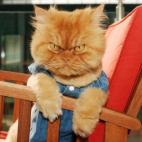 5c8b1f682500000d04ca1909