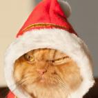 5c8b1f692300003000e7a0bc