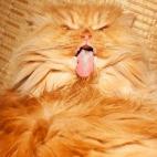 5c8b1f692400006d054ce7a6