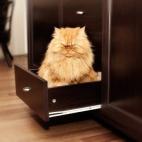 5c8b1f693b000002076d0642