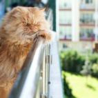 5c8b1f6922000030001a5516