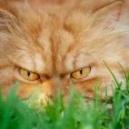 5c8b1f6a250000e203ca1911