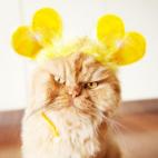 5c8b1f6a360000c81a6c84ac