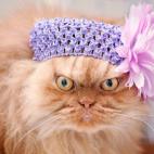 5c8b1f6b3b000054066d064c