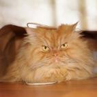 5c8b1f6b2000009d037032c8